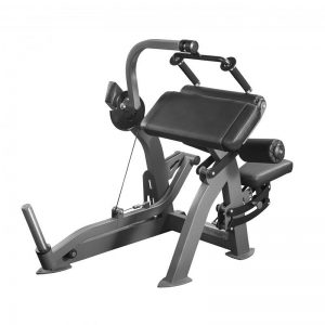 X209 - Aparat Triceps