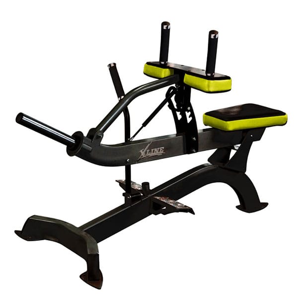 Aparat-gambe-X213