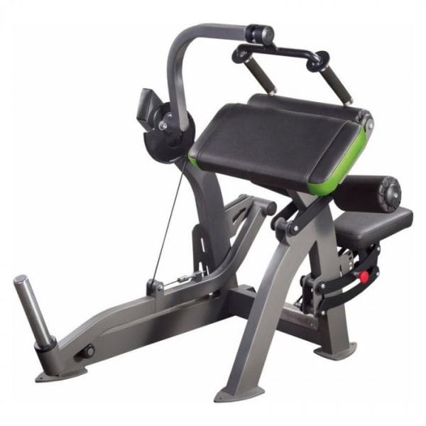 XR209 Aparat triceps