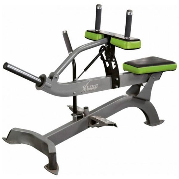 XR213 Aparat gambe